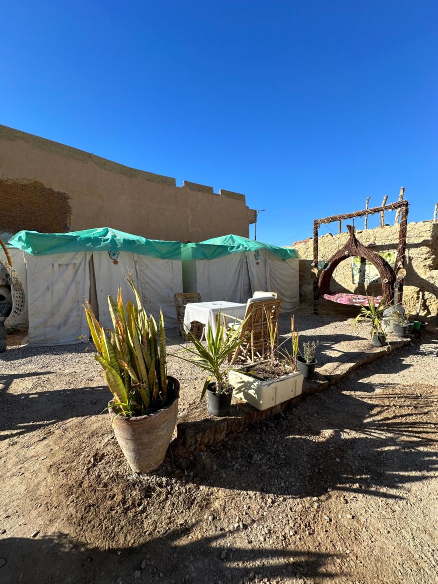 Hotel Muhra Camp Siwa Siwa Oasis Exterior foto